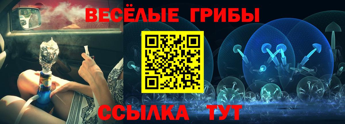 Псилоцибиновые грибы Magic Shrooms  Галлюциногенные грибы мицелий  Кропоткин  Вход с VPN 